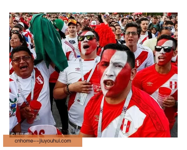 2026世界杯将为持票残障球迷提供实时数字化战术说明提升观赛体验