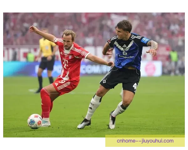 拜仁官方宣布凯恩荣获德甲单月最佳进球奖项