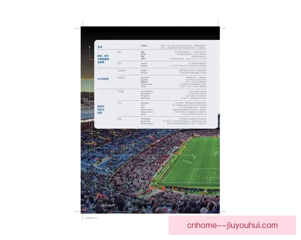 朗尼克拒绝拜仁执教邀约继续执掌奥地利国家队