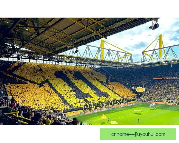 罗伊斯离别威斯特法伦球场感人瞬间回顾球迷不舍情怀