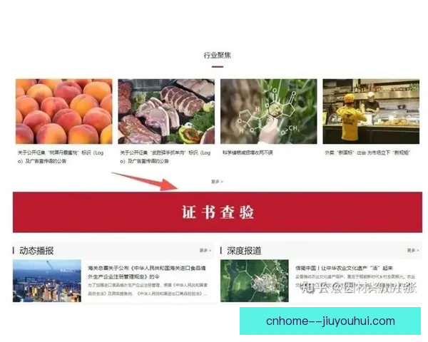 2026世界杯官方设专属食品安全检测员保障各队饮食健康